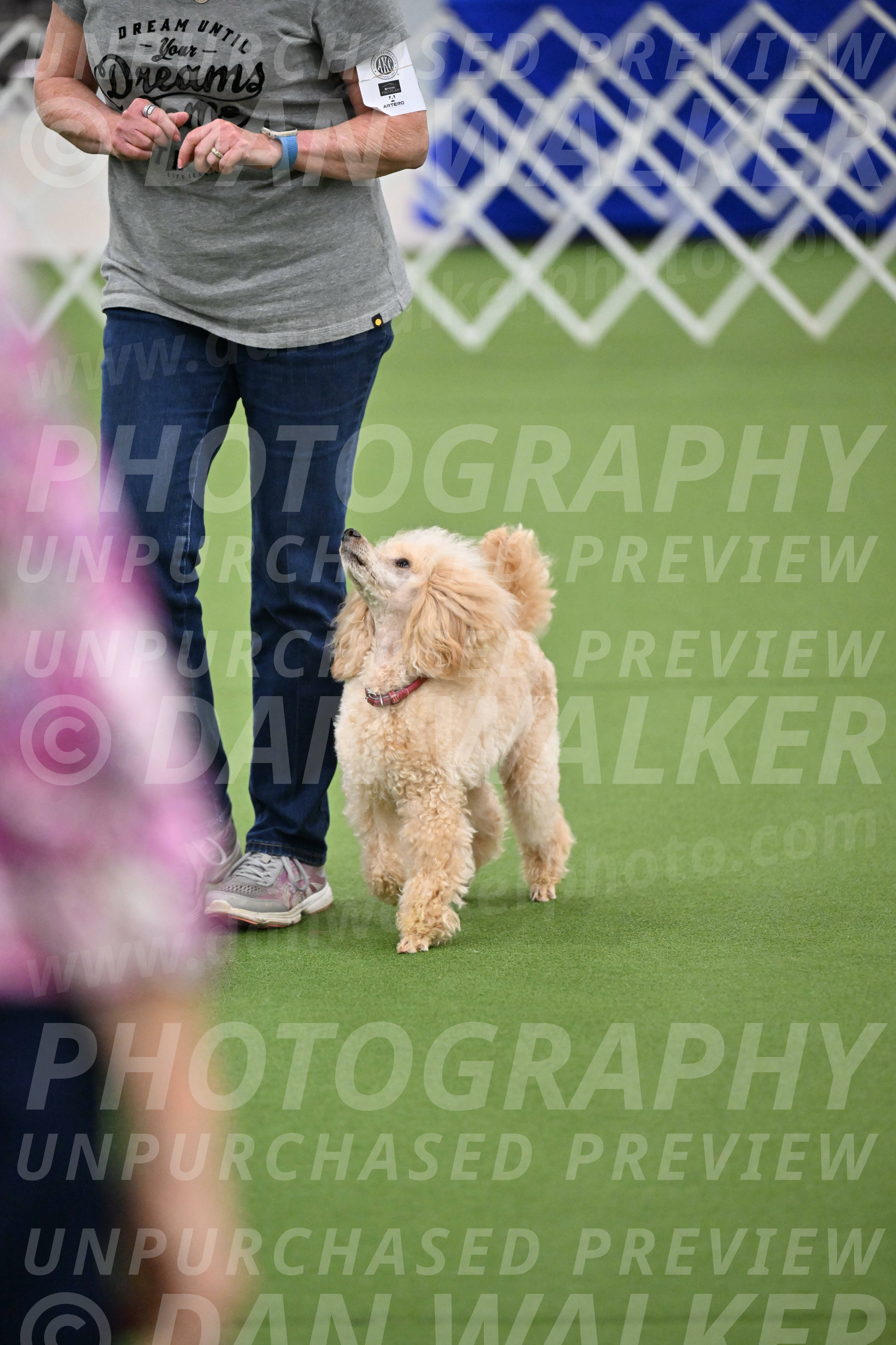 Ring-1-Morning-Obedience_1981