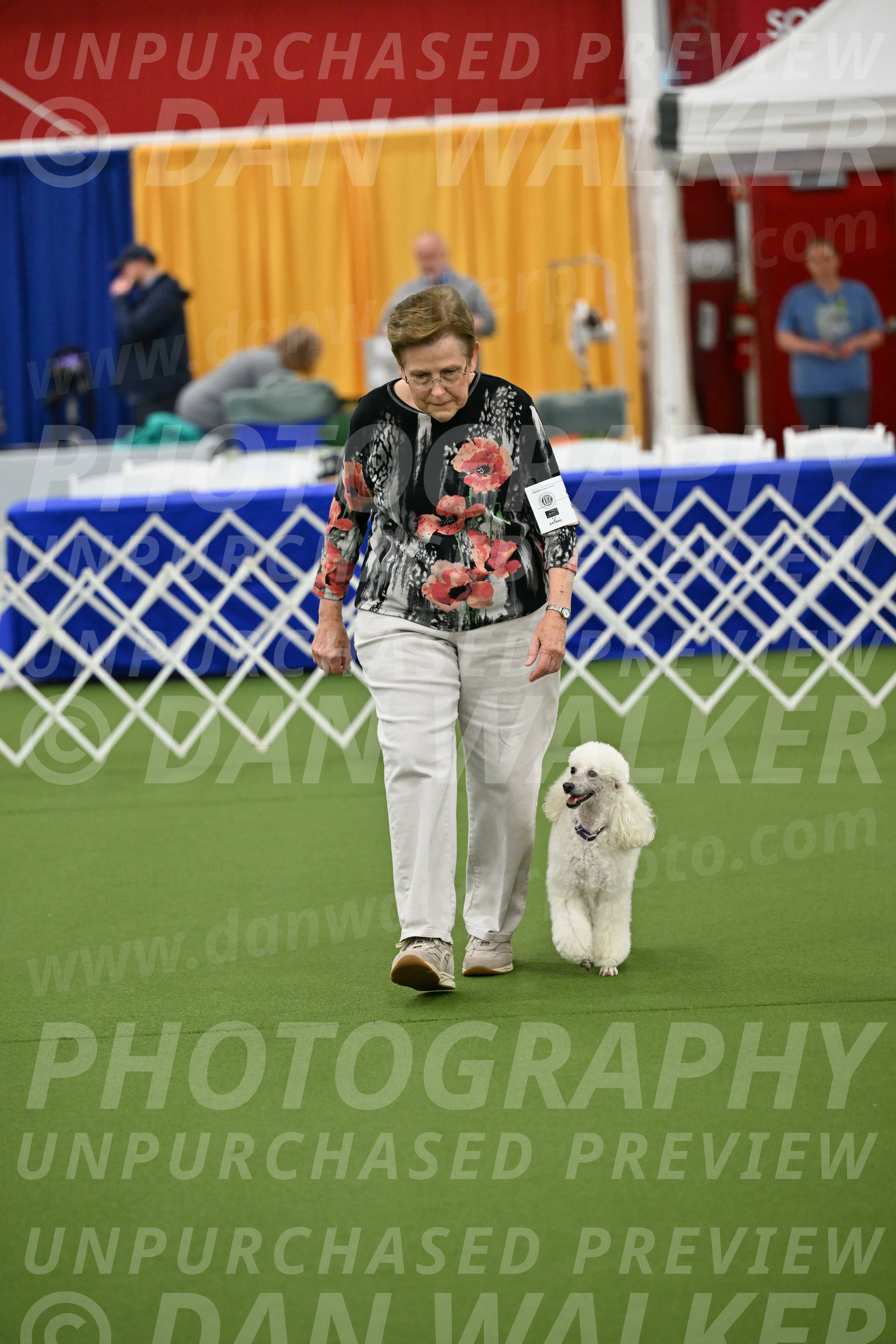 Ring-1-Morning-Obedience_2031