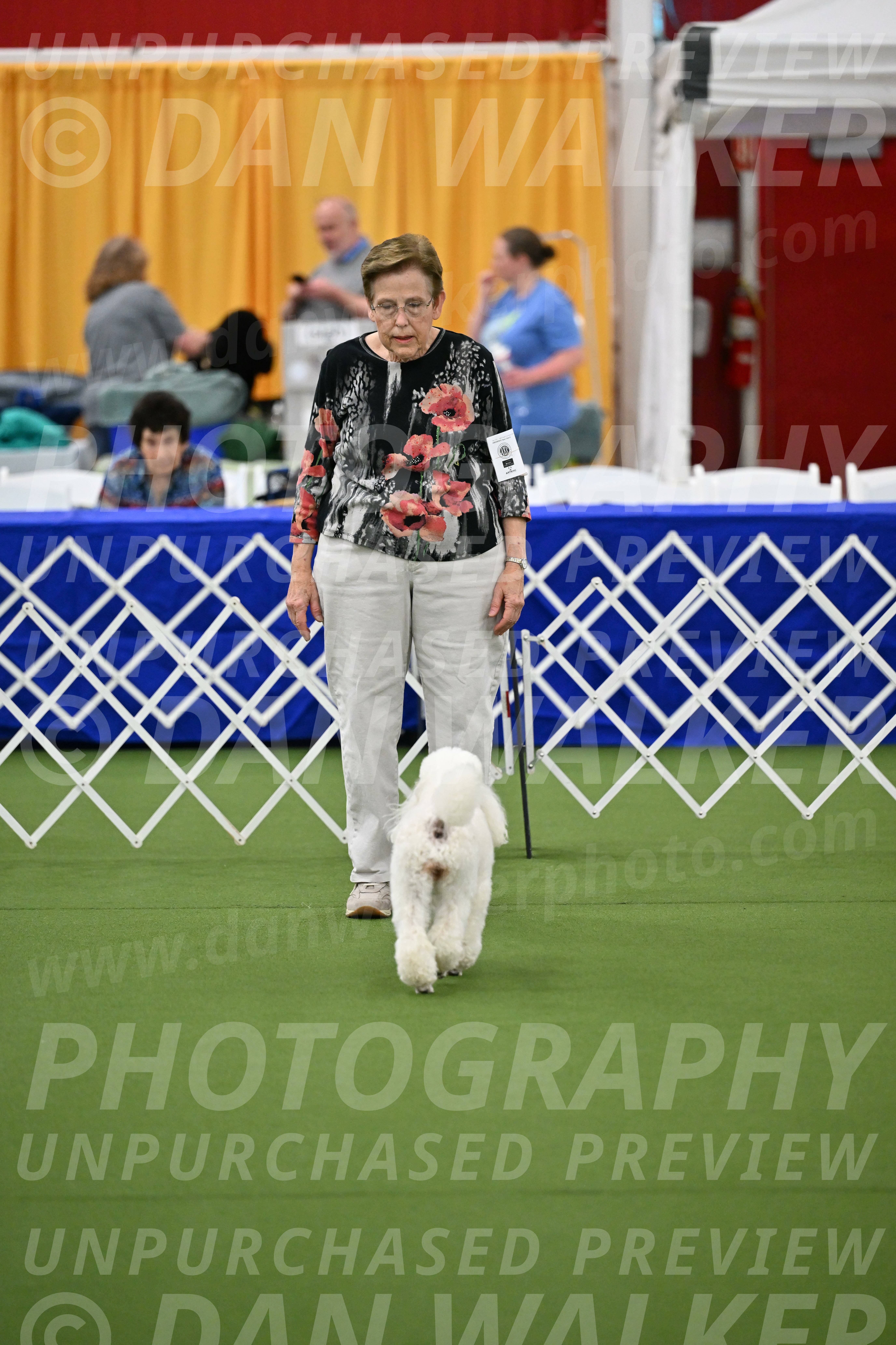 Ring-1-Morning-Obedience_2033