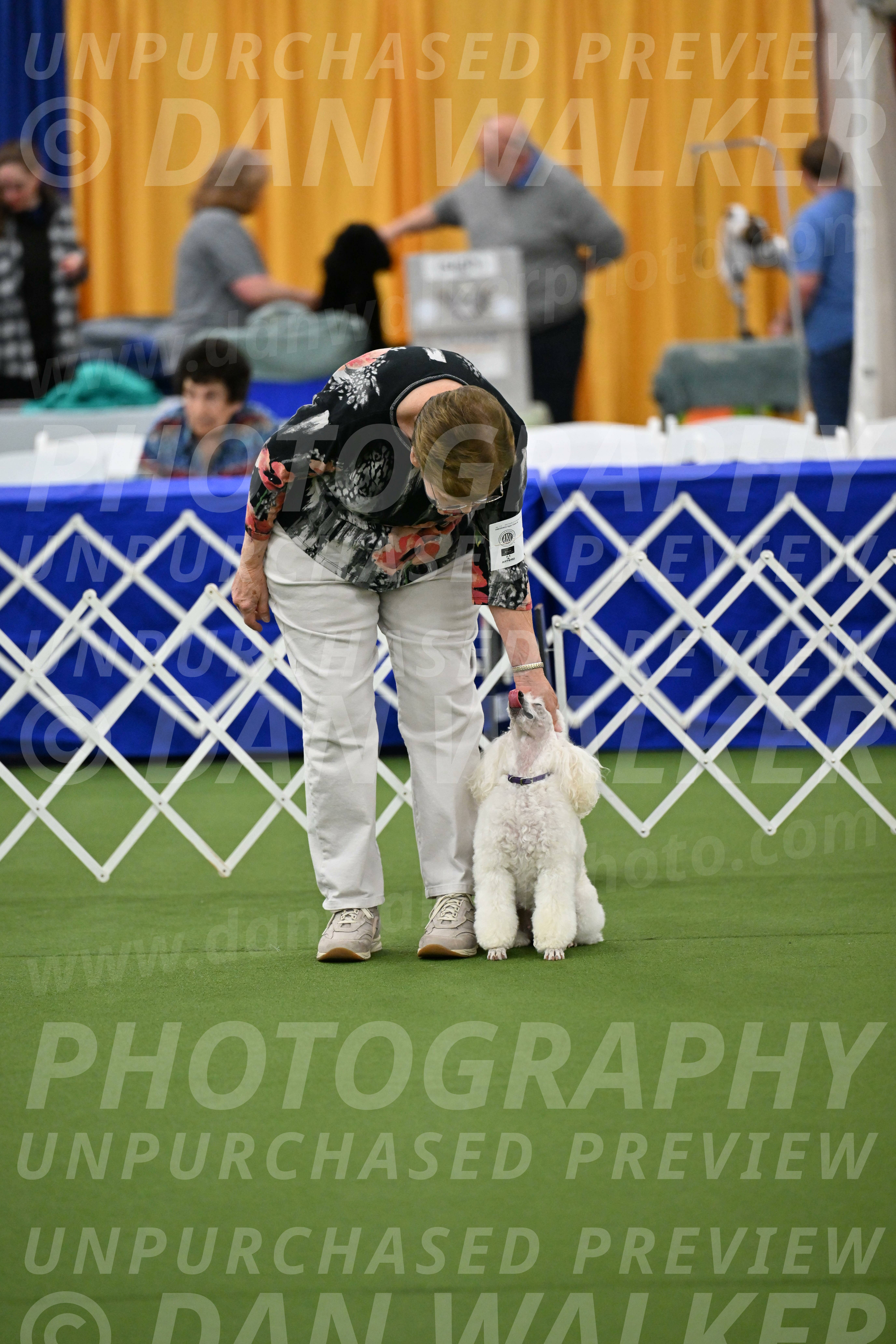 Ring-1-Morning-Obedience_2034