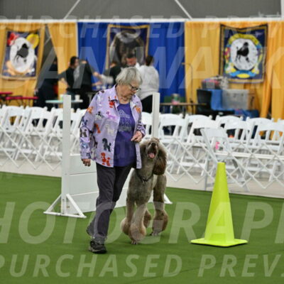 Ring-2-Morning-Obedience_0069