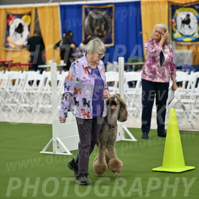 Ring-2-Morning-Obedience_0076