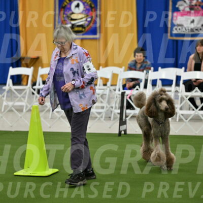 Ring-2-Morning-Obedience_0078