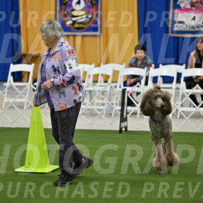 Ring-2-Morning-Obedience_0079