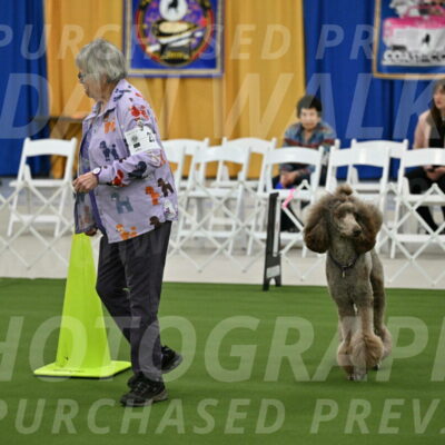 Ring-2-Morning-Obedience_0080