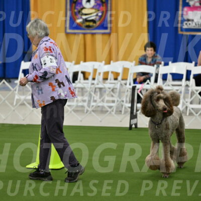 Ring-2-Morning-Obedience_0081