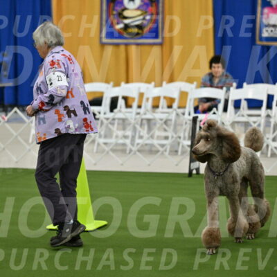 Ring-2-Morning-Obedience_0082