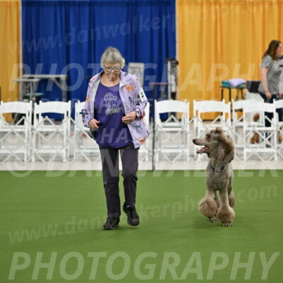 Ring-2-Morning-Obedience_0107