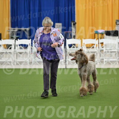 Ring-2-Morning-Obedience_0109