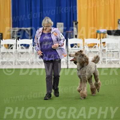 Ring-2-Morning-Obedience_0110