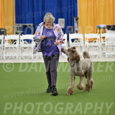 Ring-2-Morning-Obedience_0111