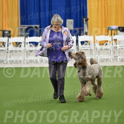 Ring-2-Morning-Obedience_0112