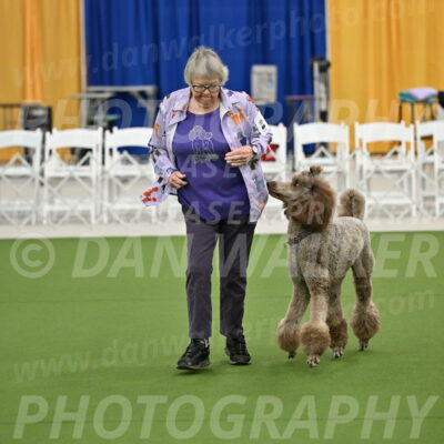 Ring-2-Morning-Obedience_0113