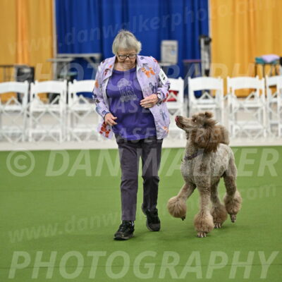 Ring-2-Morning-Obedience_0114