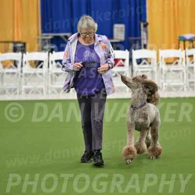 Ring-2-Morning-Obedience_0115