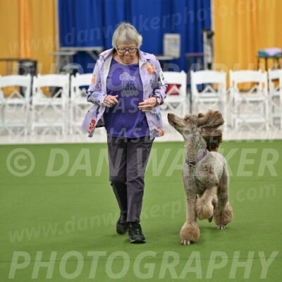 Ring-2-Morning-Obedience_0116