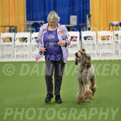 Ring-2-Morning-Obedience_0117