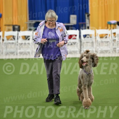 Ring-2-Morning-Obedience_0120