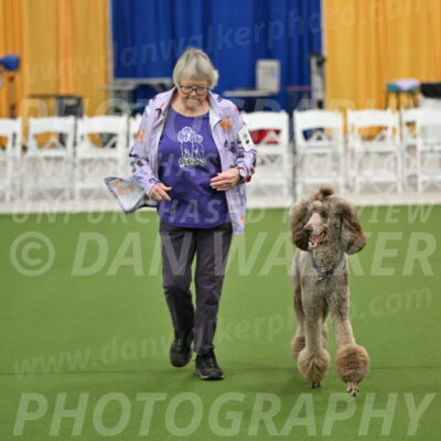 Ring-2-Morning-Obedience_0121