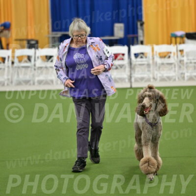 Ring-2-Morning-Obedience_0123