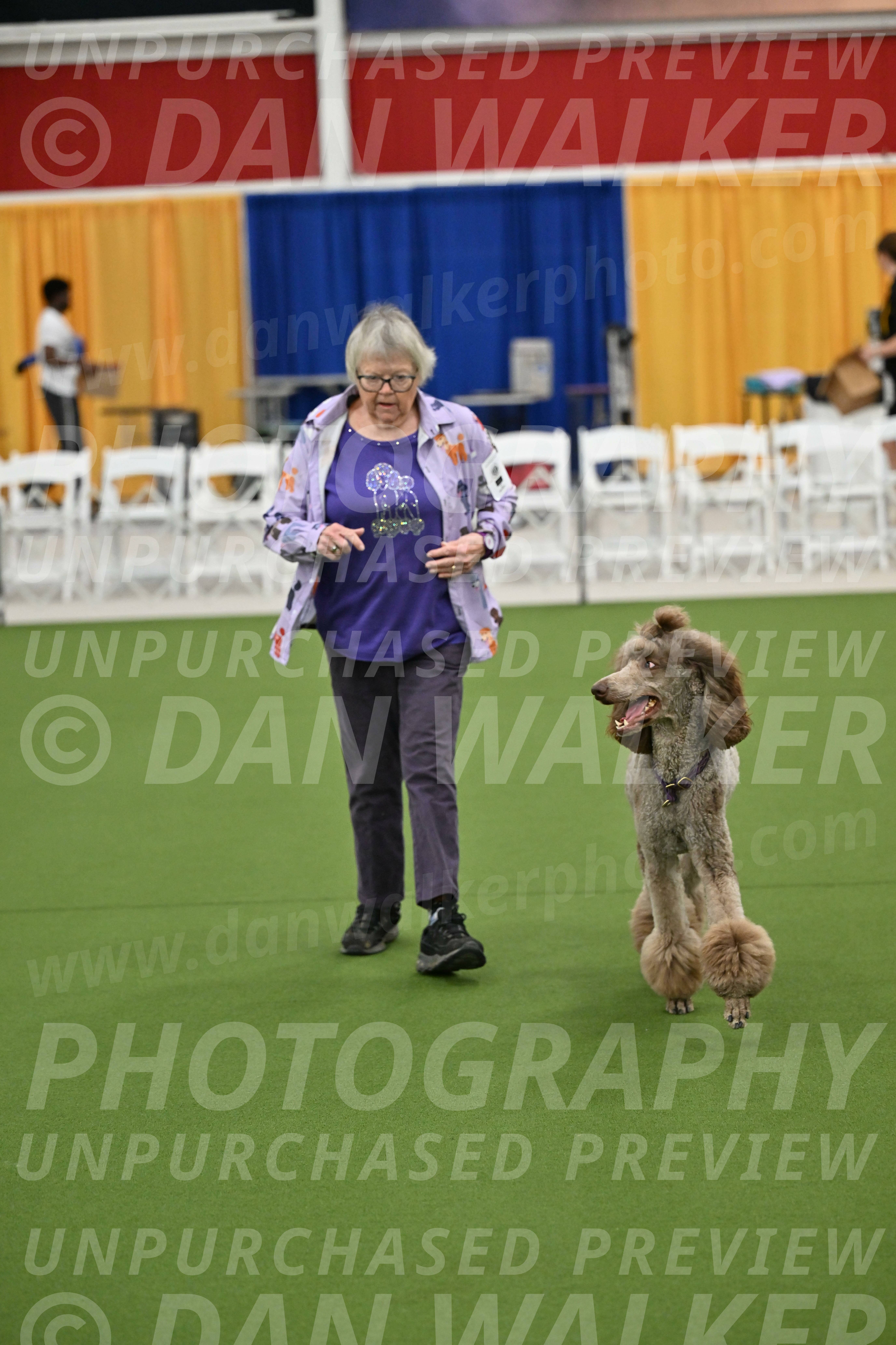 Ring-2-Morning-Obedience_0125