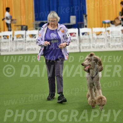 Ring-2-Morning-Obedience_0125