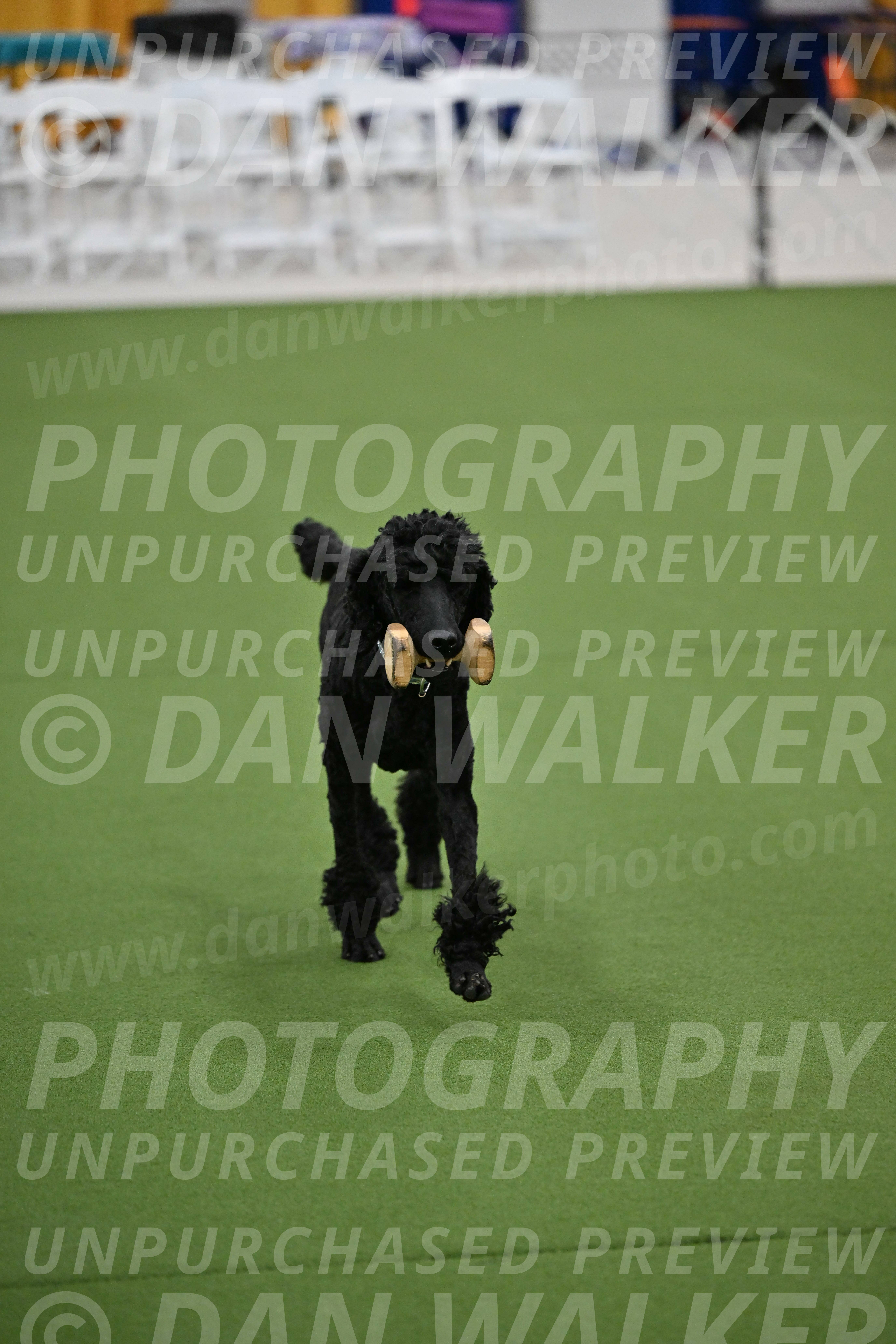 Ring-2-Morning-Obedience_0164