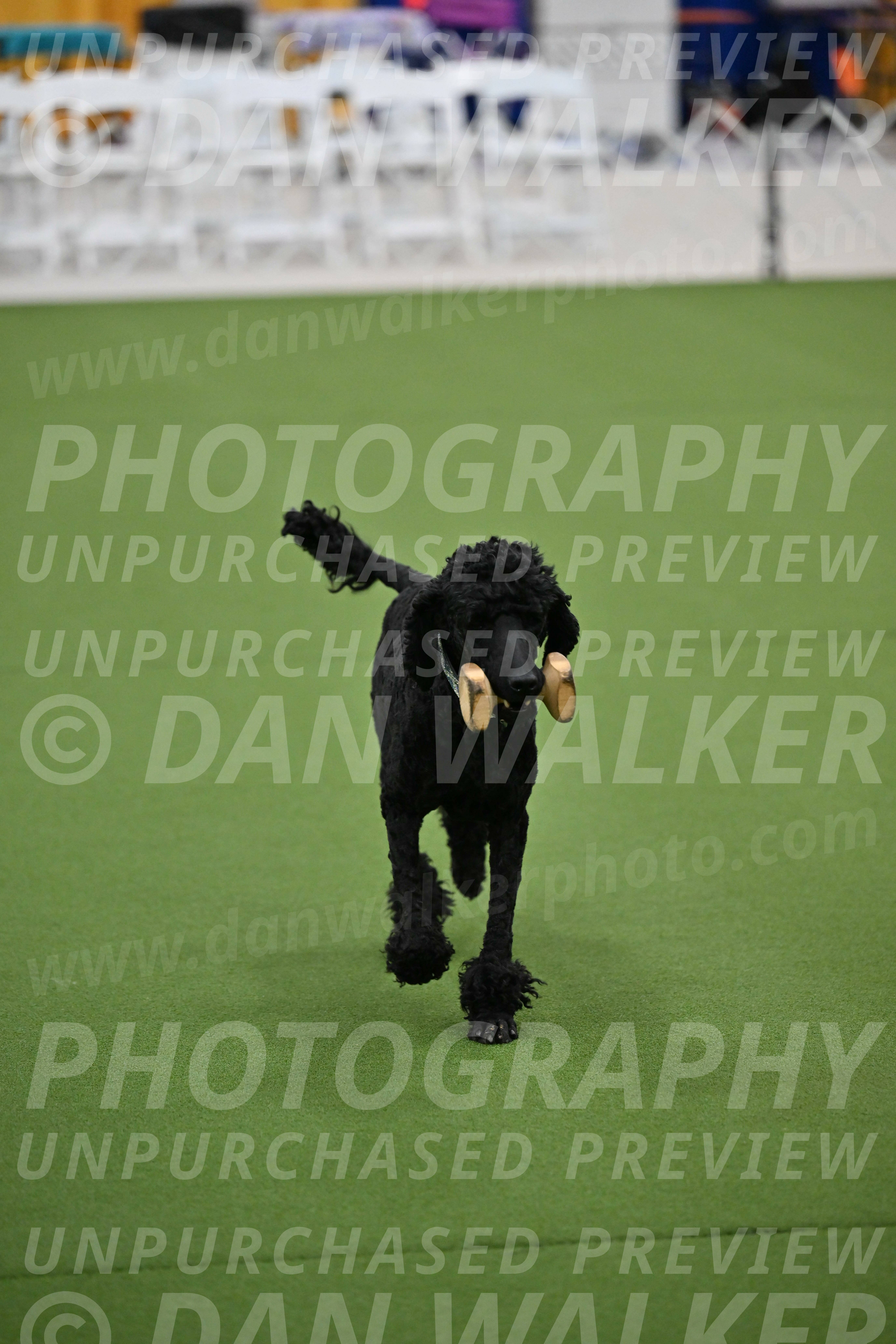 Ring-2-Morning-Obedience_0165