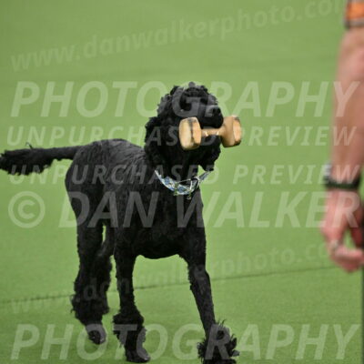 Ring-2-Morning-Obedience_0172