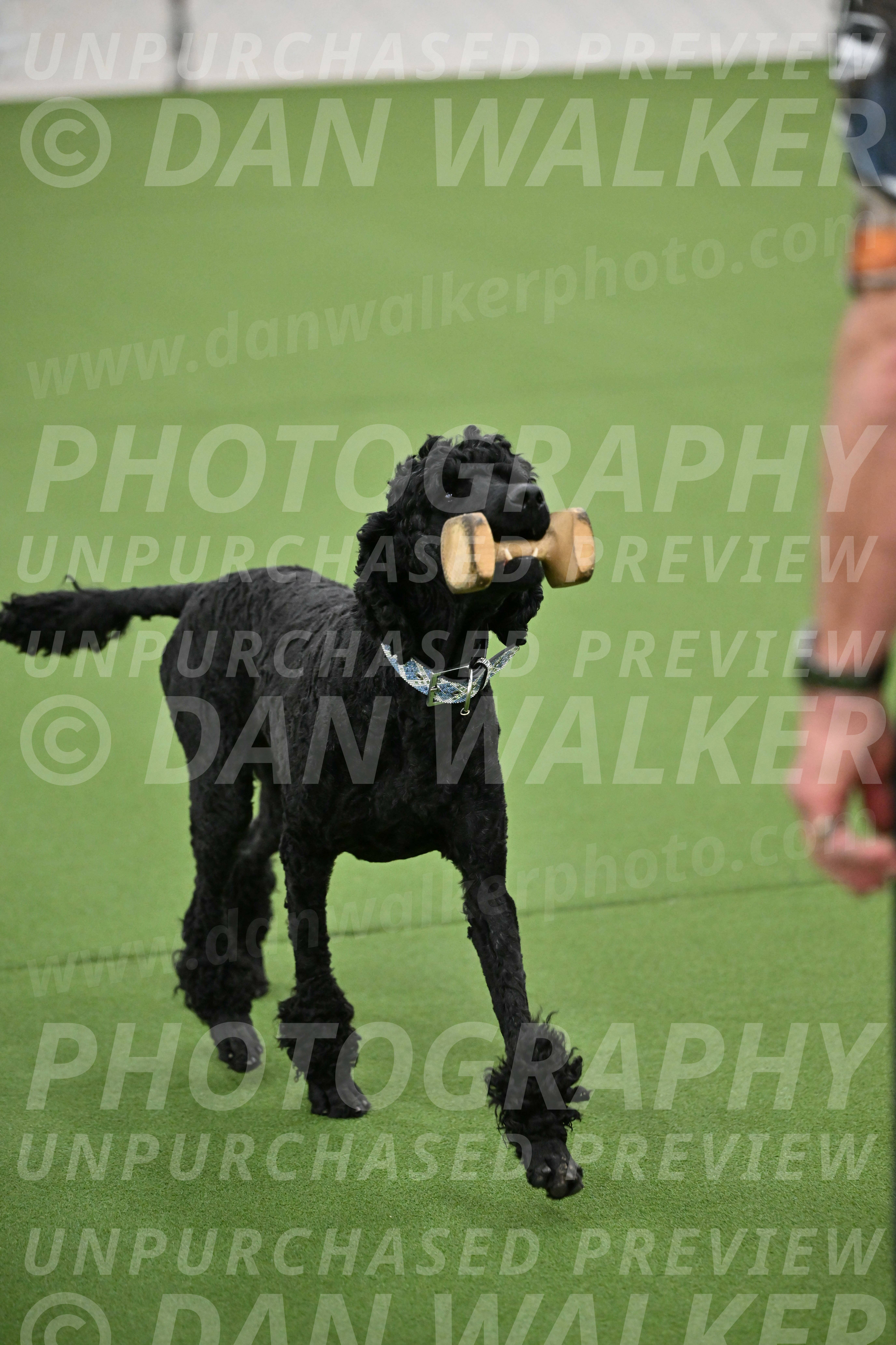 Ring-2-Morning-Obedience_0172