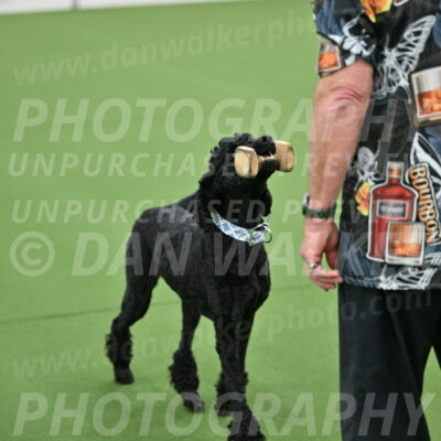 Ring-2-Morning-Obedience_0174