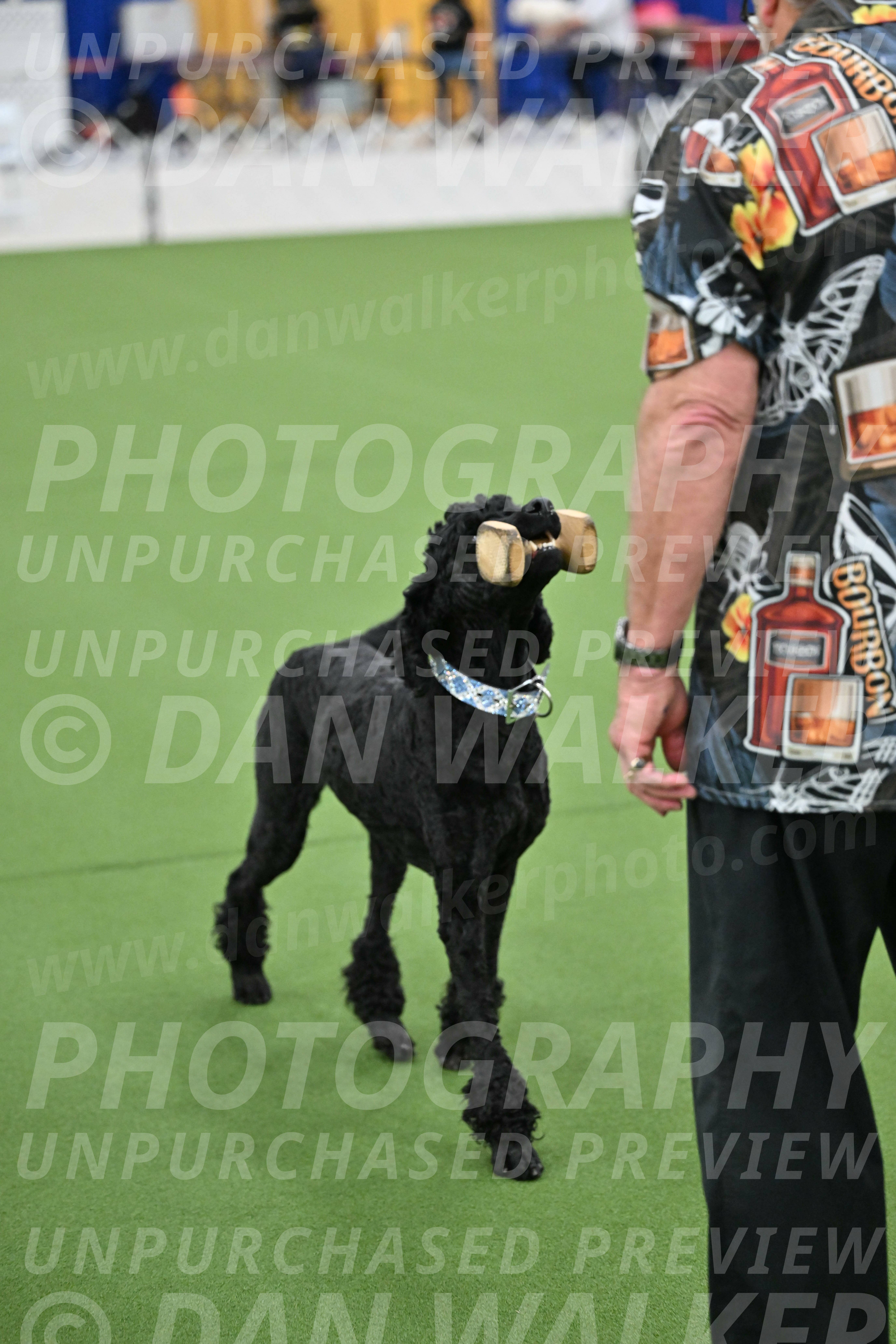 Ring-2-Morning-Obedience_0174