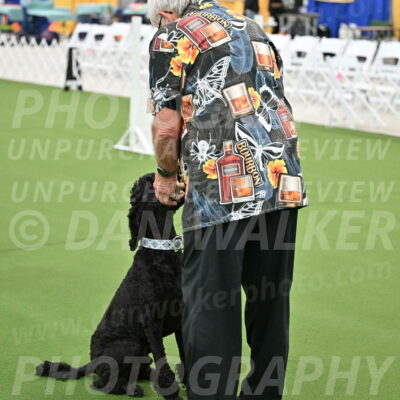 Ring-2-Morning-Obedience_0179