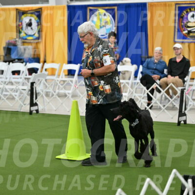 Ring-2-Morning-Obedience_0229