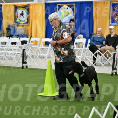 Ring-2-Morning-Obedience_0230