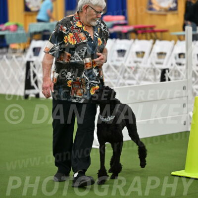 Ring-2-Morning-Obedience_0232