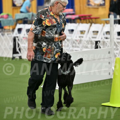 Ring-2-Morning-Obedience_0233