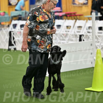 Ring-2-Morning-Obedience_0234