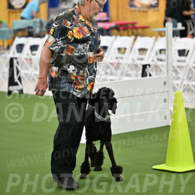 Ring-2-Morning-Obedience_0235