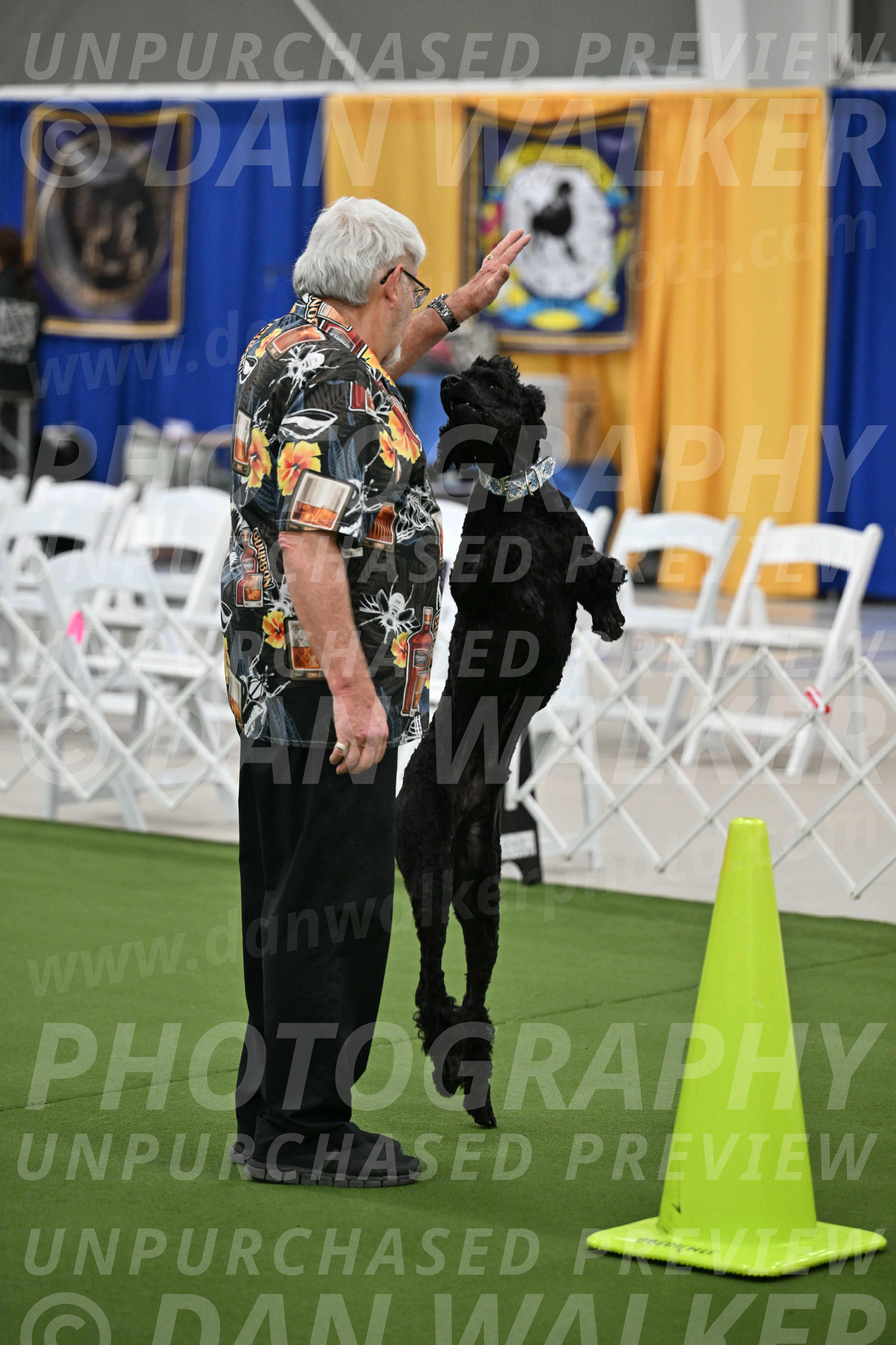 Ring-2-Morning-Obedience_0236