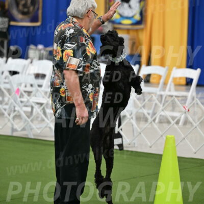 Ring-2-Morning-Obedience_0236