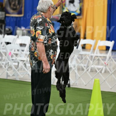 Ring-2-Morning-Obedience_0237