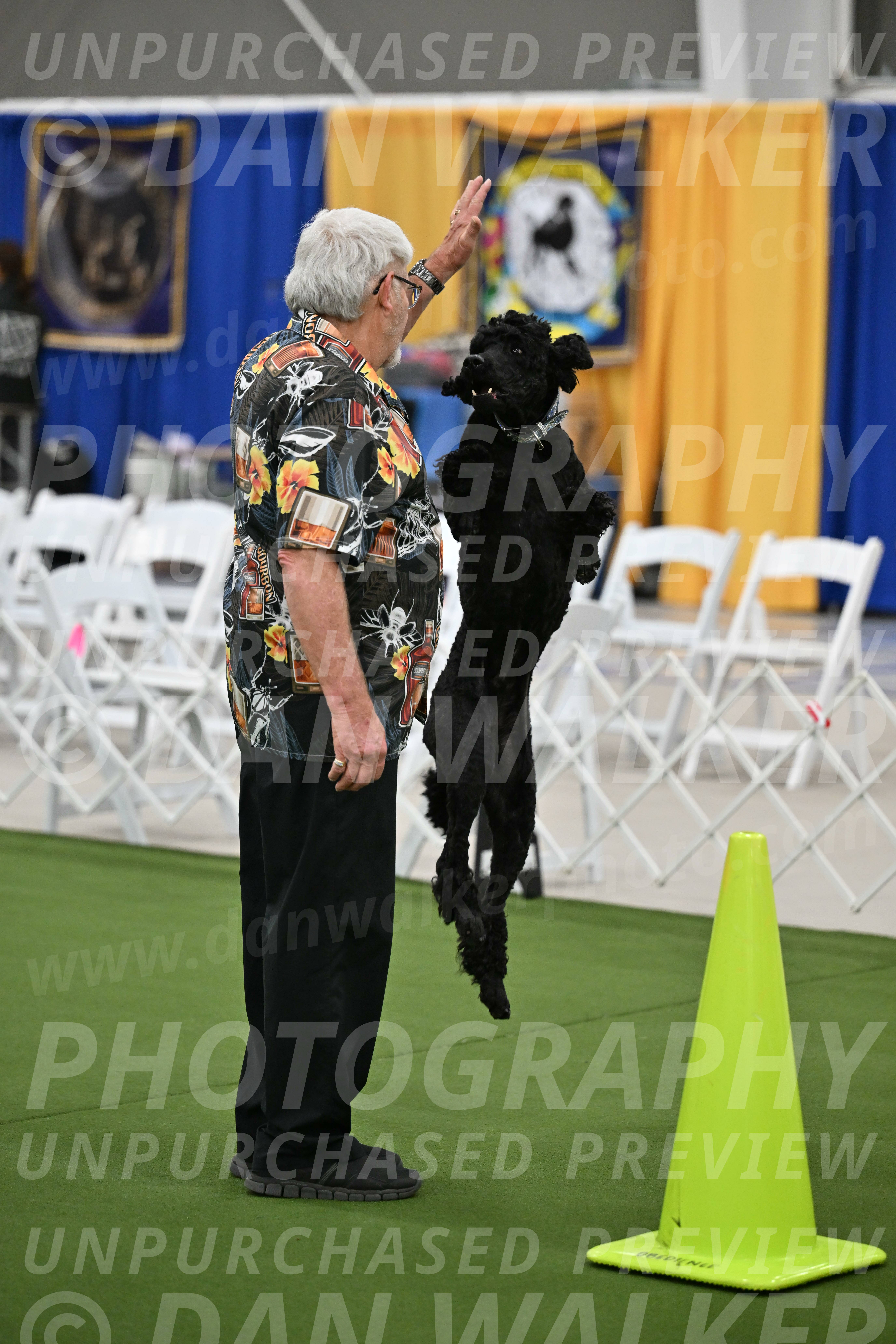 Ring-2-Morning-Obedience_0237