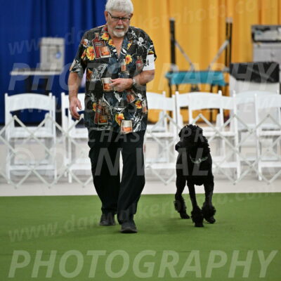 Ring-2-Morning-Obedience_0238