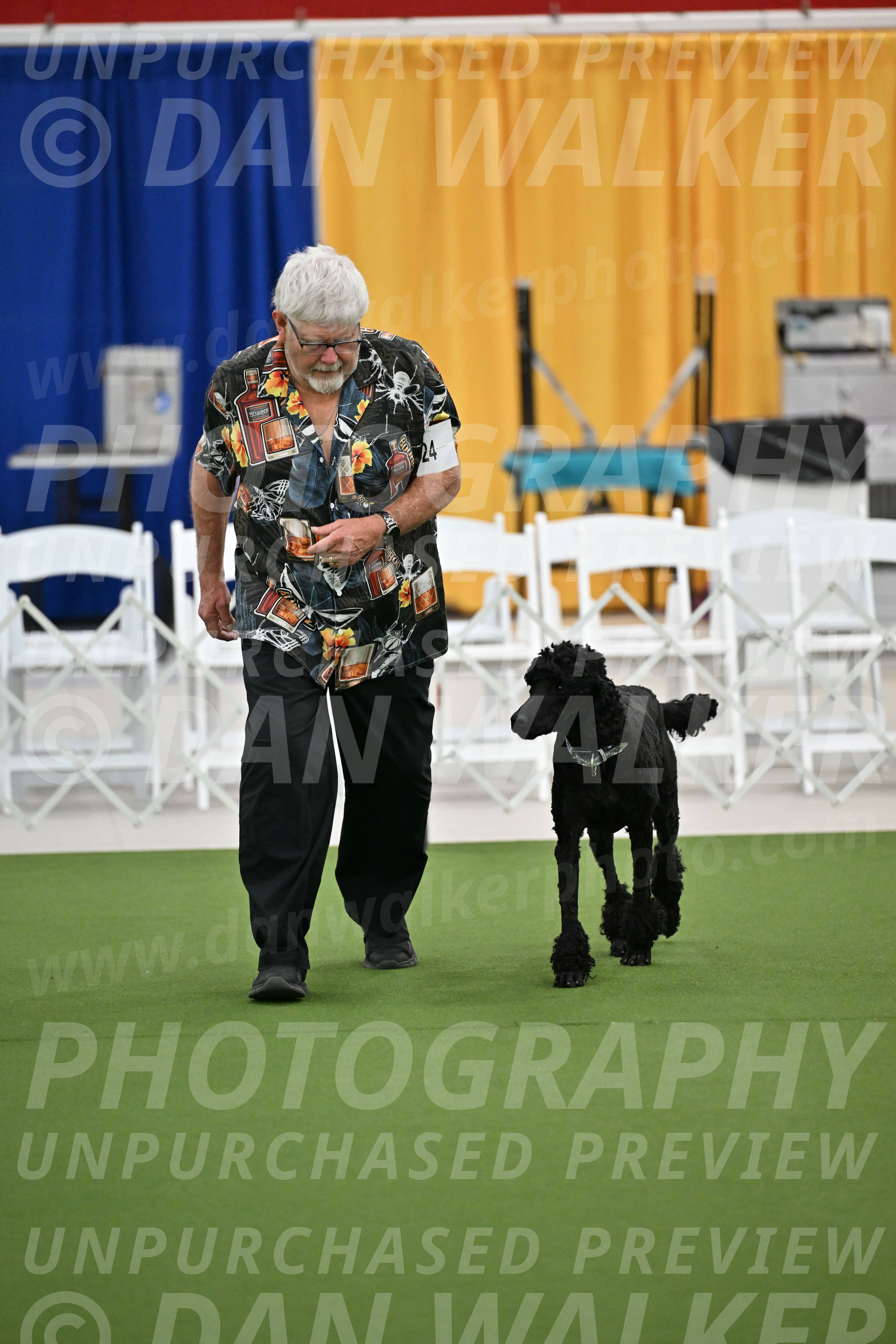 Ring-2-Morning-Obedience_0240