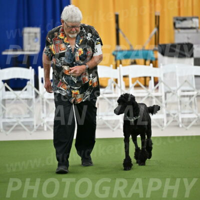 Ring-2-Morning-Obedience_0240