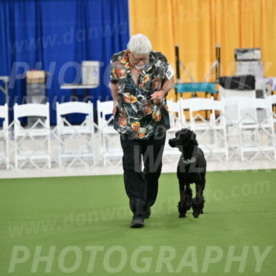 Ring-2-Morning-Obedience_0246