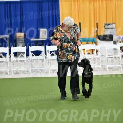 Ring-2-Morning-Obedience_0248