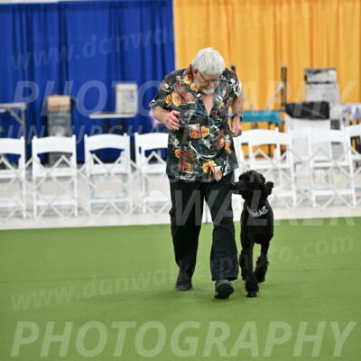 Ring-2-Morning-Obedience_0249