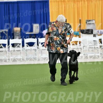 Ring-2-Morning-Obedience_0250